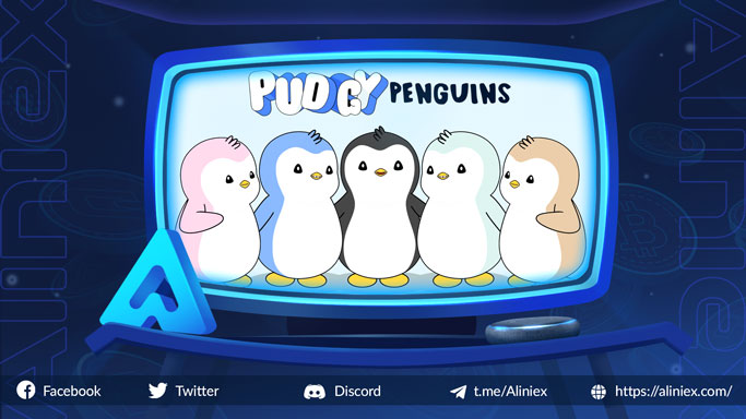pudgy-penguins-phu-nhan-tin-don-thau-tom-opensea-tap-trung-vao-quan-he-doi-tac